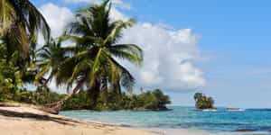 Bocas del Toro
